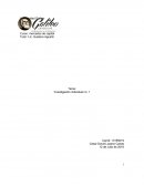 Investigación individual no. 1