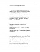 Planificacion estrategica y plan operacional