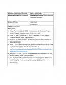 Mercadotecnia. Evidencia 2.