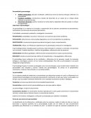 Personalidad y personología.