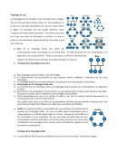 Topología de Redes Informaticas.