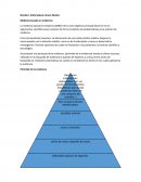 Medicina basada en evidencia.