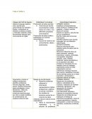 TAREA 3- Rasgos del Perfil de Egreso