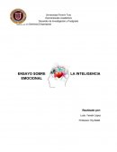 ENSAYO SOBRE LA INTELIGENCIA EMOCIONAL.
