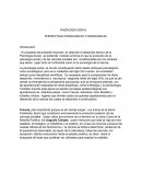 Desarrollo teórico de Psicología Social.