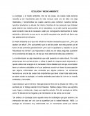 ENSAYO ECOLOGIA.