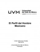 El perfil del hombre mexicano
