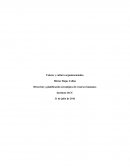 Héctor Rojas _control 3