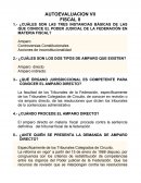 AUTOEVALUACION VII FISCAL II