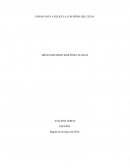 ENSAYO DE LA PELICULA LOS NIÑOS DEL CIELO