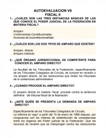 AUTOEVALUACION VII FISCAL II. Página 1