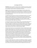 Las lenguas del Peru.