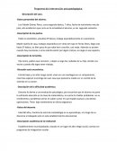 Programa de intervención psicopedagógica.