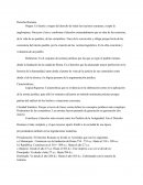 INFORME DEL DERECHO ROMANO