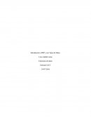 Bueno para esta semana de programación de computadores entramos a ver los códigos php, Iniciaremos también el estudio de su sintaxis básica, viendo cómo se inserta este lenguaje dentro del código HTML en un servidor.