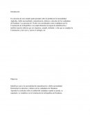 Apátridas, doble nacionalidad y naturalización, deberes y derechos de los ciudadanos.
