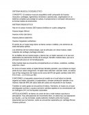 SISTEMA MUSCULO ESQUELETICO. SISTEMA ESQUELETICO