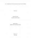 PROPUESTA PARA EL DESARROLLO DEL PLAN DE MEJORA