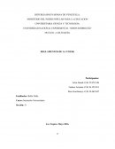 Reglamentos de la UNESR