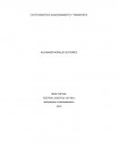 COSTO BENEFICIO ALMACENAMIENTO Y TRANSPORTE