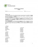 Miniensayo psu lenguaje