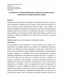 LA POESÍA ES LA TRANSFORMACIÓN DEL LENGUAJE COLOQUIAL QUE SE EVIDENCIA EN LA SIGNIFICACIÓN DEL POEMA.