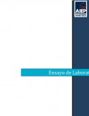 Tema- Laboratorio Granulometria.