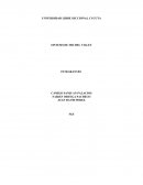 SINTESIS DE MICHEL VILLEY