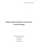 GIdentificar la importancia de la implementación de un sistema de calidad para la salud y seguridad.