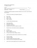 Prueba La Cabaña en el Árbol.