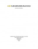 PSICOLOGIA COGNITIVA.