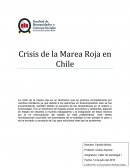 Crisis de la marea roja en chile.