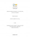 LA HUELLA DE CARBONO