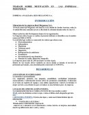 TRABAJO SOBRE MOTIVACIÓN EN LAS EMPRESAS MISIONERAS EMPRESA ANALIZADA: RED MEGATONE S.A.