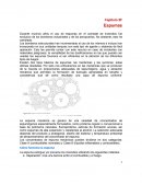 Incendios en colchones.