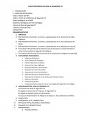 PLAN ESTRATEGICO DEL AREA DE SEGURIDAD TIC.