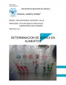 PROFESORES: (TITULAR) RODOLFO ARCHIVALDO.