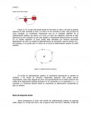 Bucle de Primer Orden