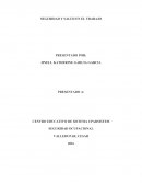 SEGURIDAD Y SALUD EN EL TRABAJO. SEGURIDAD OCUPACIONAL