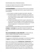 PSICOPEDAGOGIA (PAULA FERNANDEZ BLANCO)