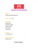 PROYECTO INTEGRADOR DESARROLLO DE PRODUCTO