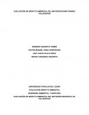 EVALUACIÓN DE IMPACTO AMBIENTAL DEL MATADERO RAMYCARNES VALLEDUPAR