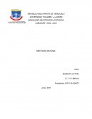 Identidad nacional ( Venezuela).