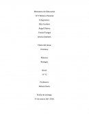 Las encimas catalazas