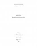 INDICADORES DE GESTIÓN.