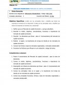 MERCADO FINANCIERO: MERCADO DE CAPITAL ACCIONARIO.