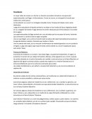 Neuroficiologia apuntes