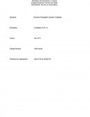 INFORME DE PASANTIAS.