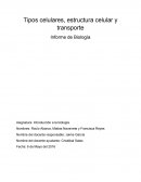 Tipos celulares, estructura celular y transporte