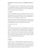 El equilibrio del mercado de divisas con sustituibilidad imperfecta de activos